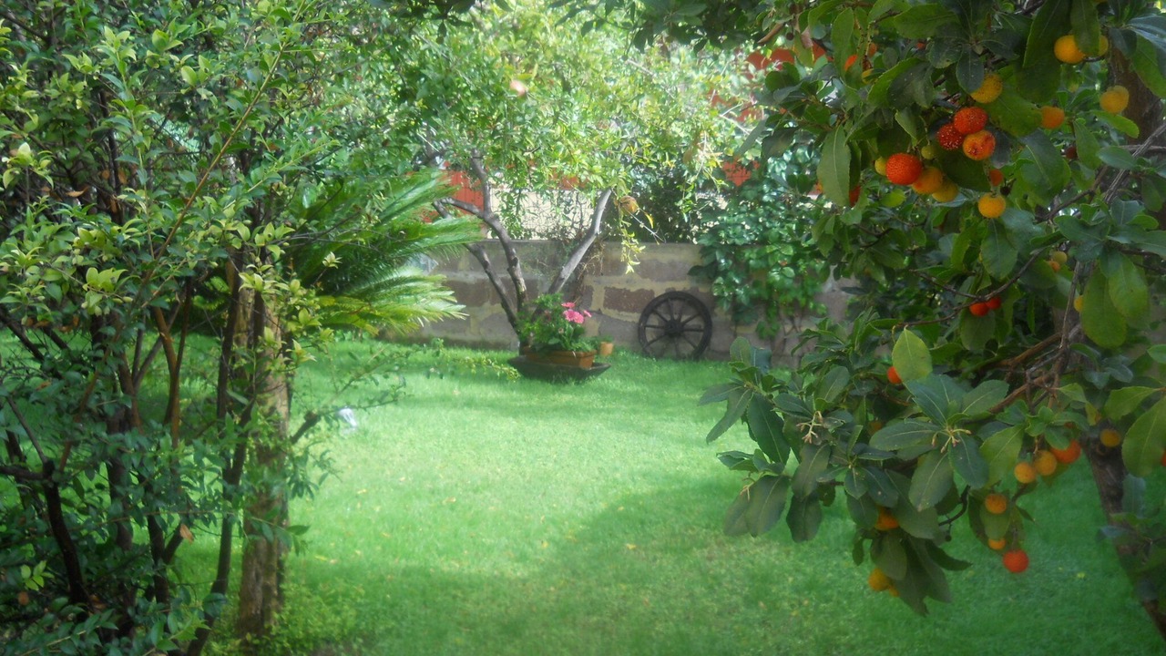 Photo of Outdoor in Bosa Marina