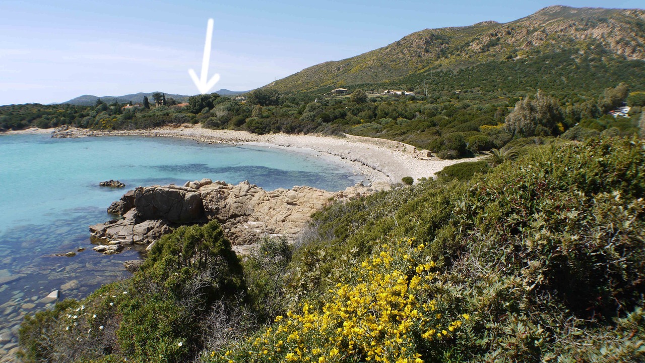 Photo of Others in Teulada