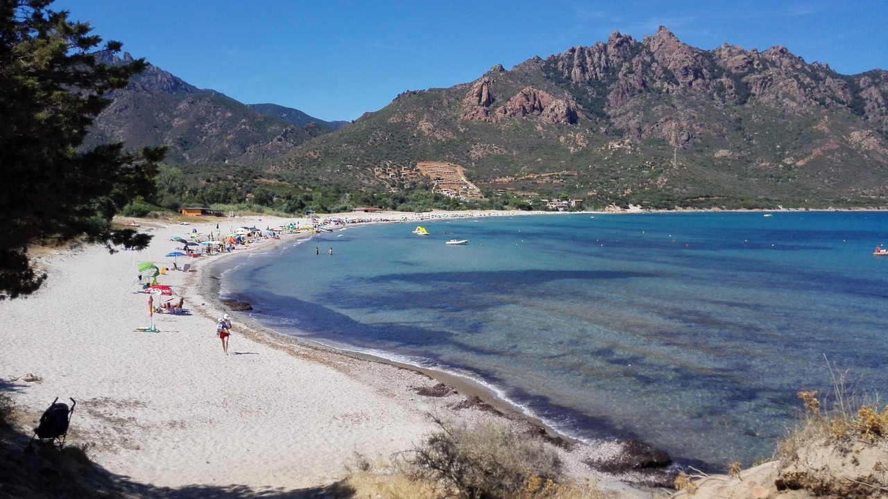 Photo of Others in Tertenia