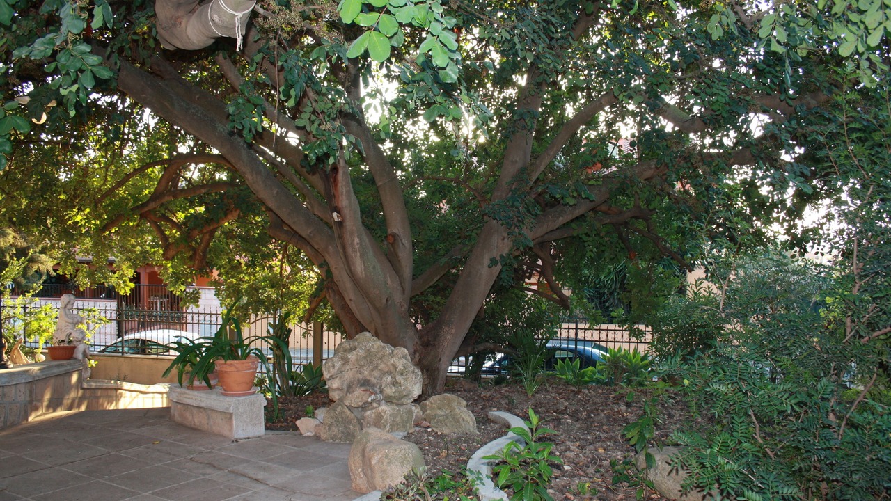 Photo of Outdoor in Quartu Sant'Elena