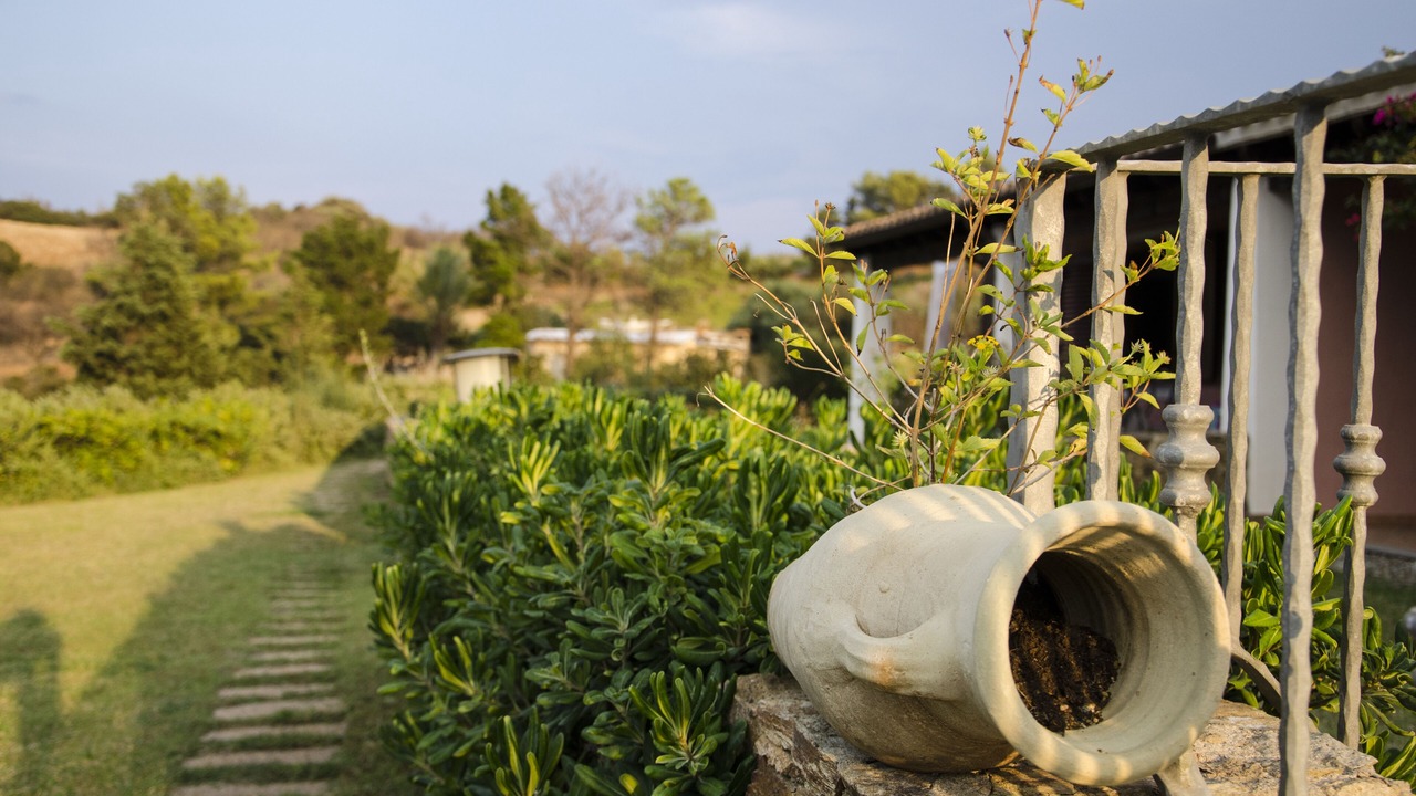 Photo of Outdoor in Tertenia