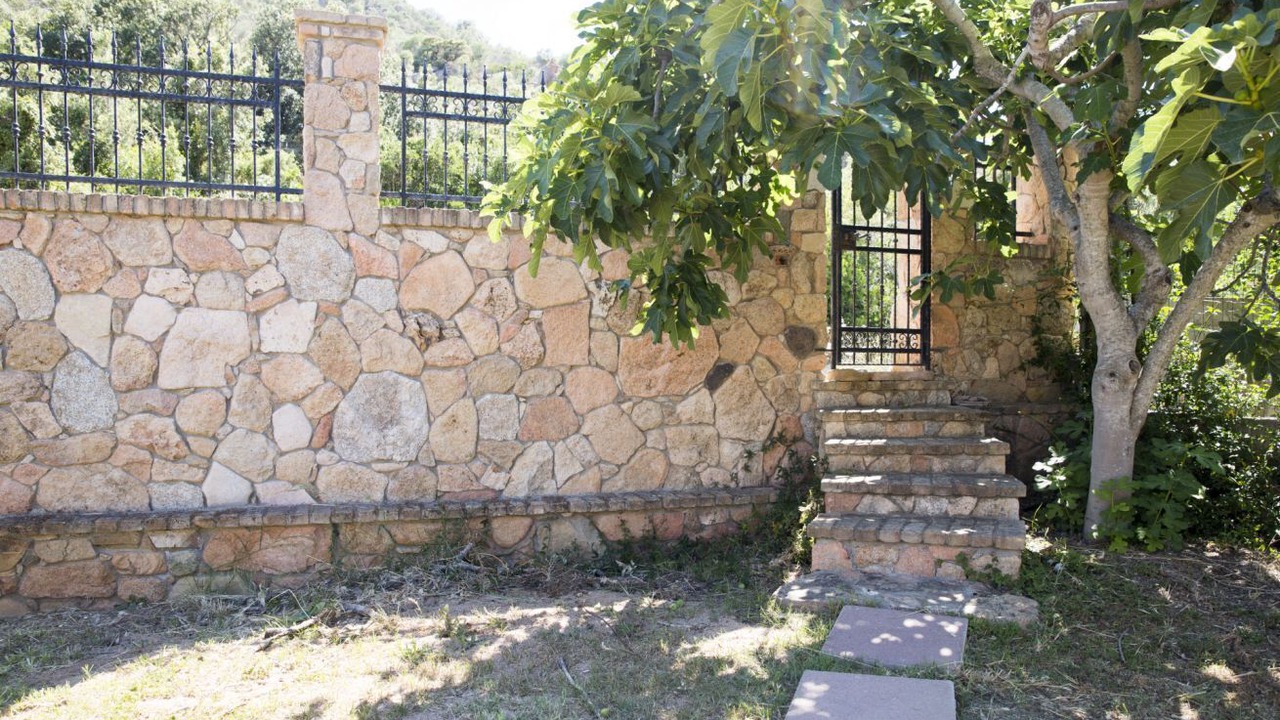 Photo of Outdoor in Perdepera