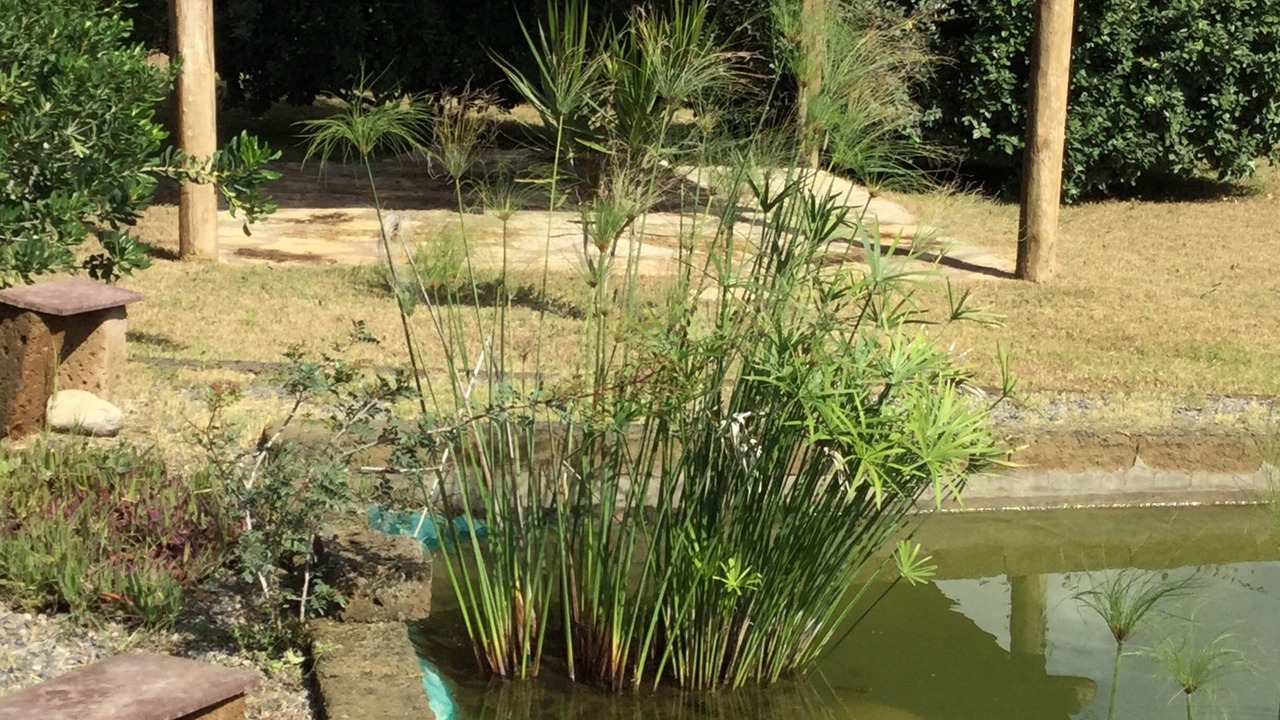 Photo of Outdoor in Bindua