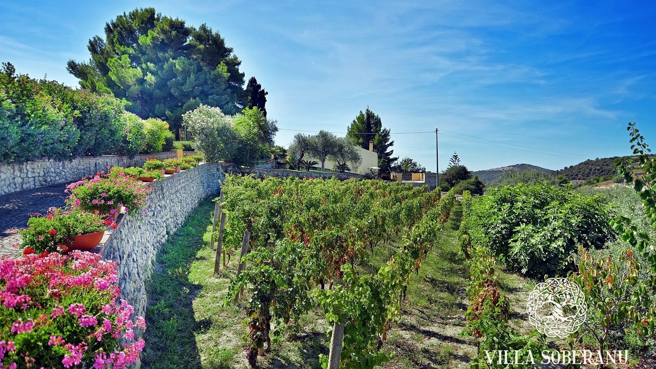 Photo of Outdoor in Magomadas