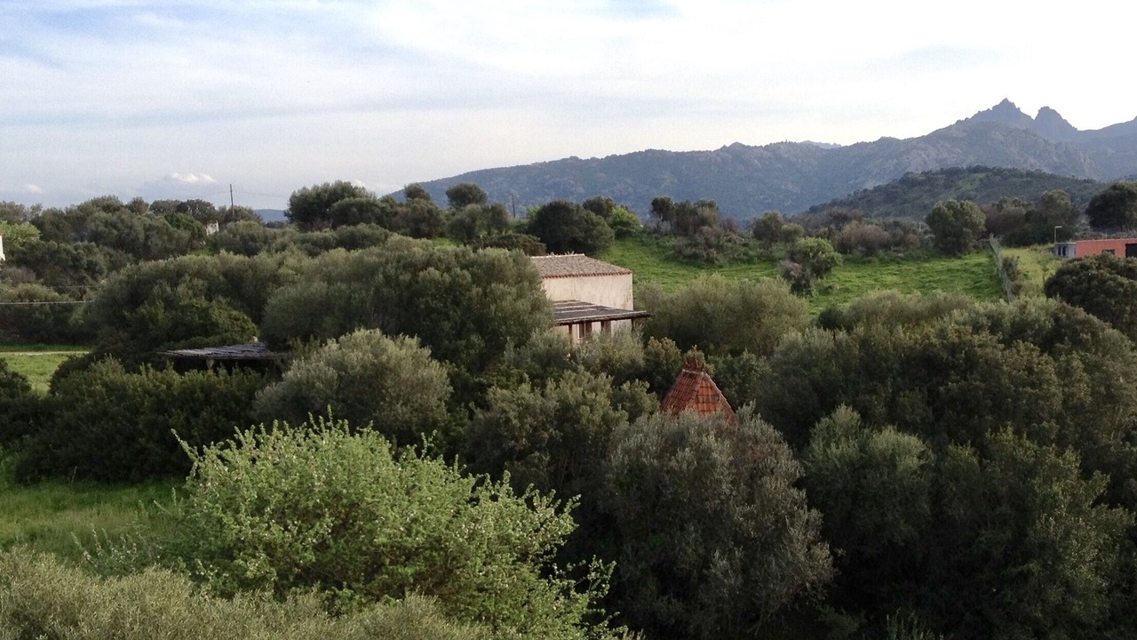 Photo of Others in Arzachena