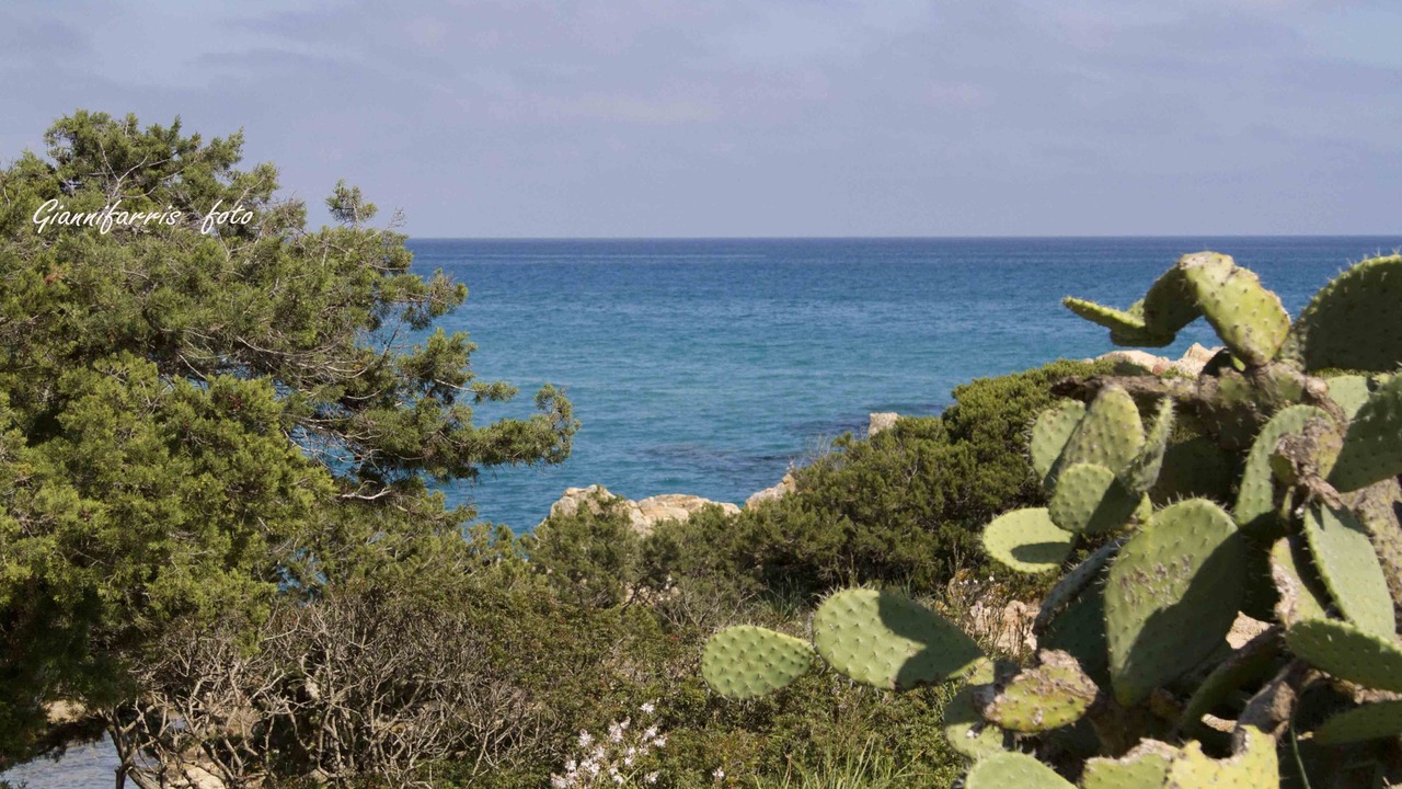 Photo of Others in Cala Liberotto