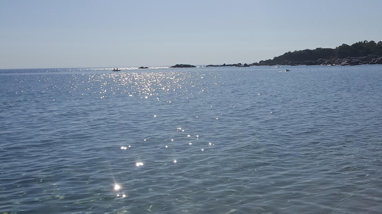 Photo of Others in Bari Sardo