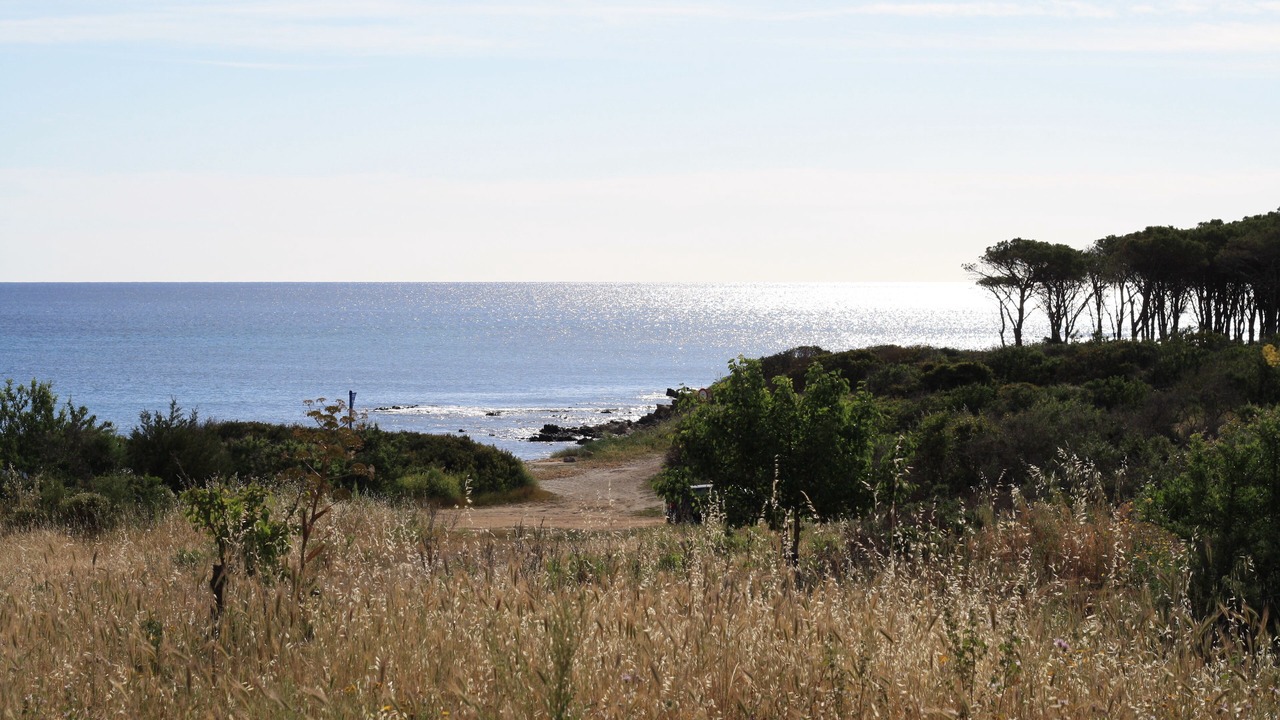 Photo of Others in Porto Ottiolu
