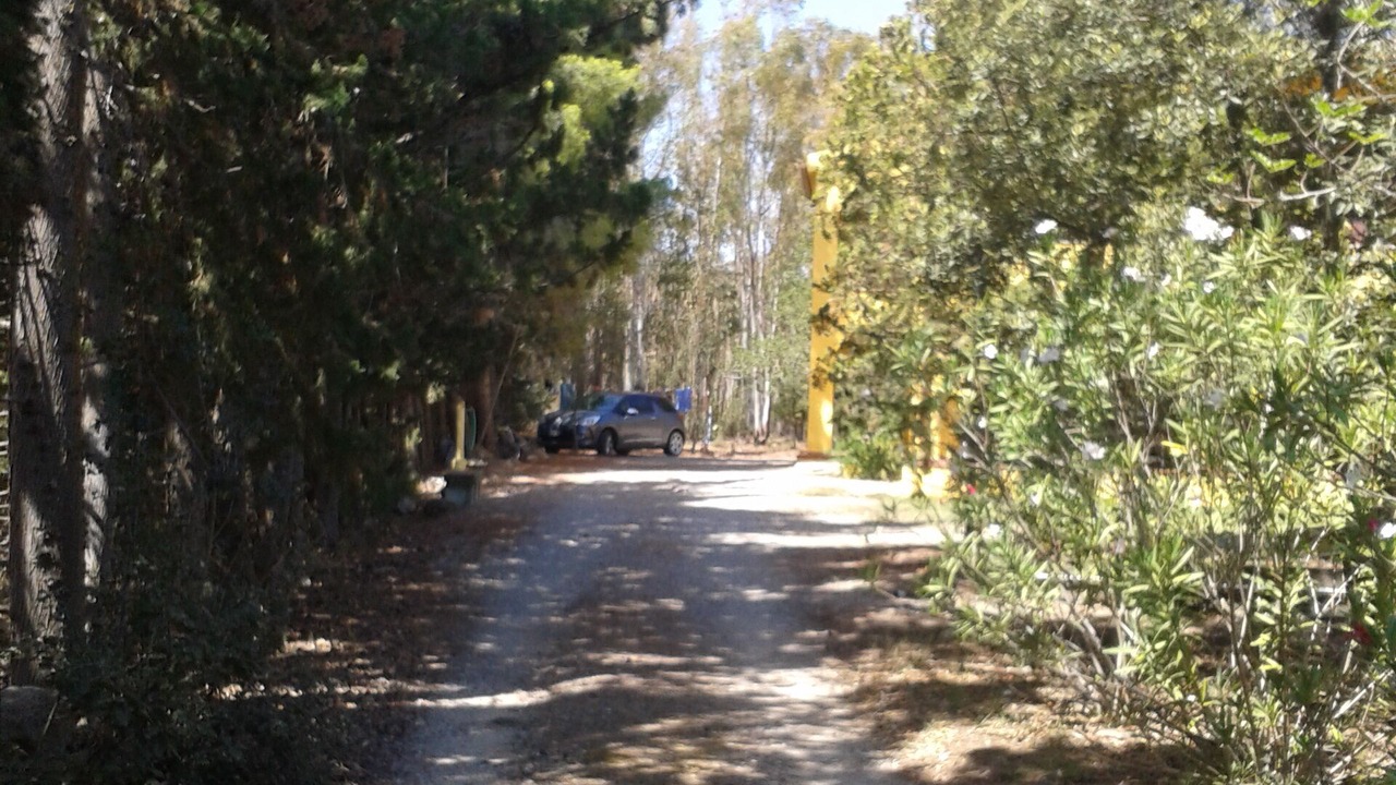 Photo of Outdoor in Cardedu
