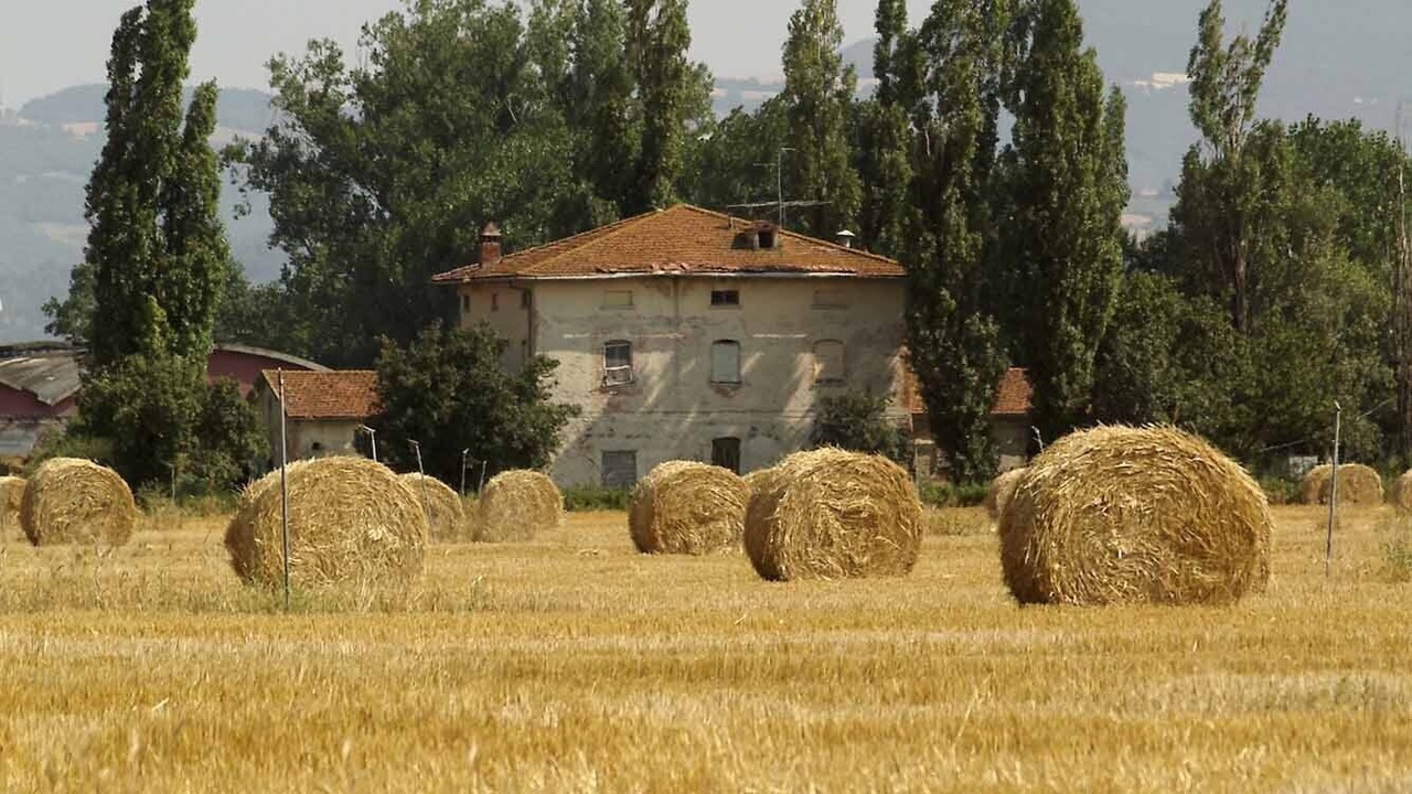 Photo of Others in Sansepolcro