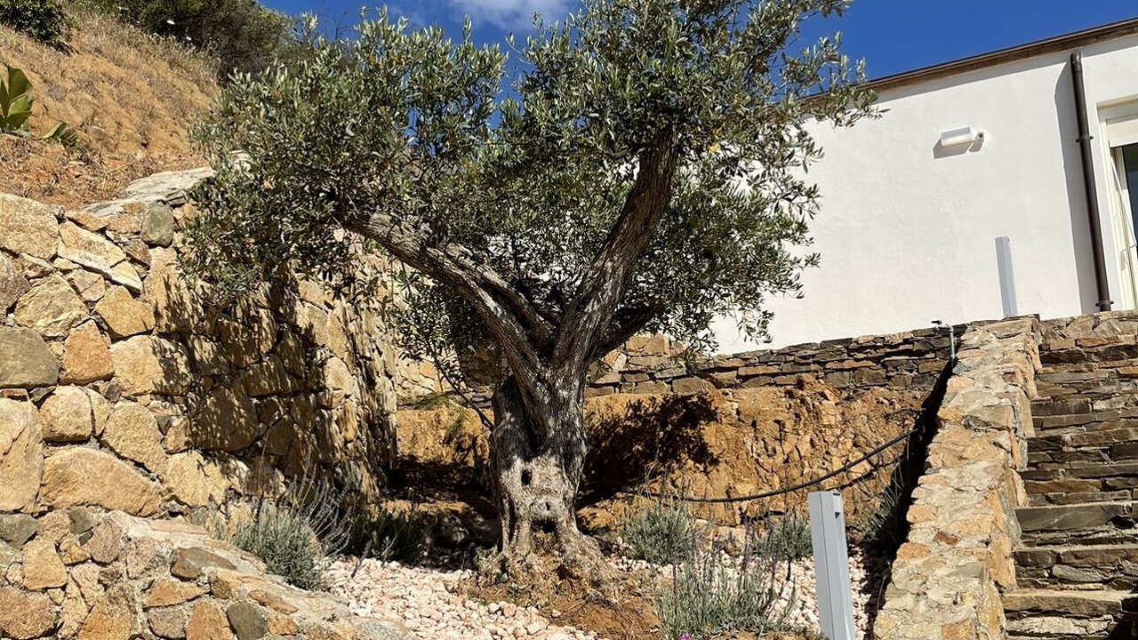 Photo of Outdoor in Tertenia