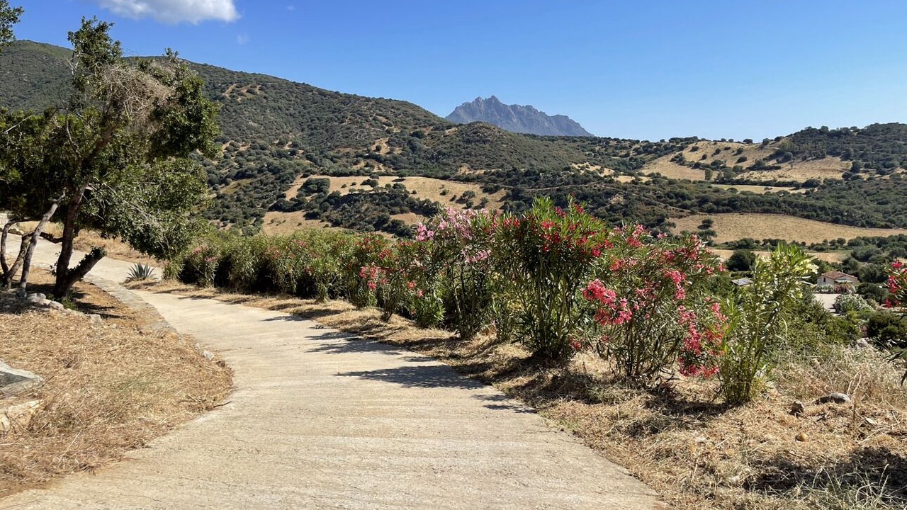 Photo of Outdoor in Tertenia