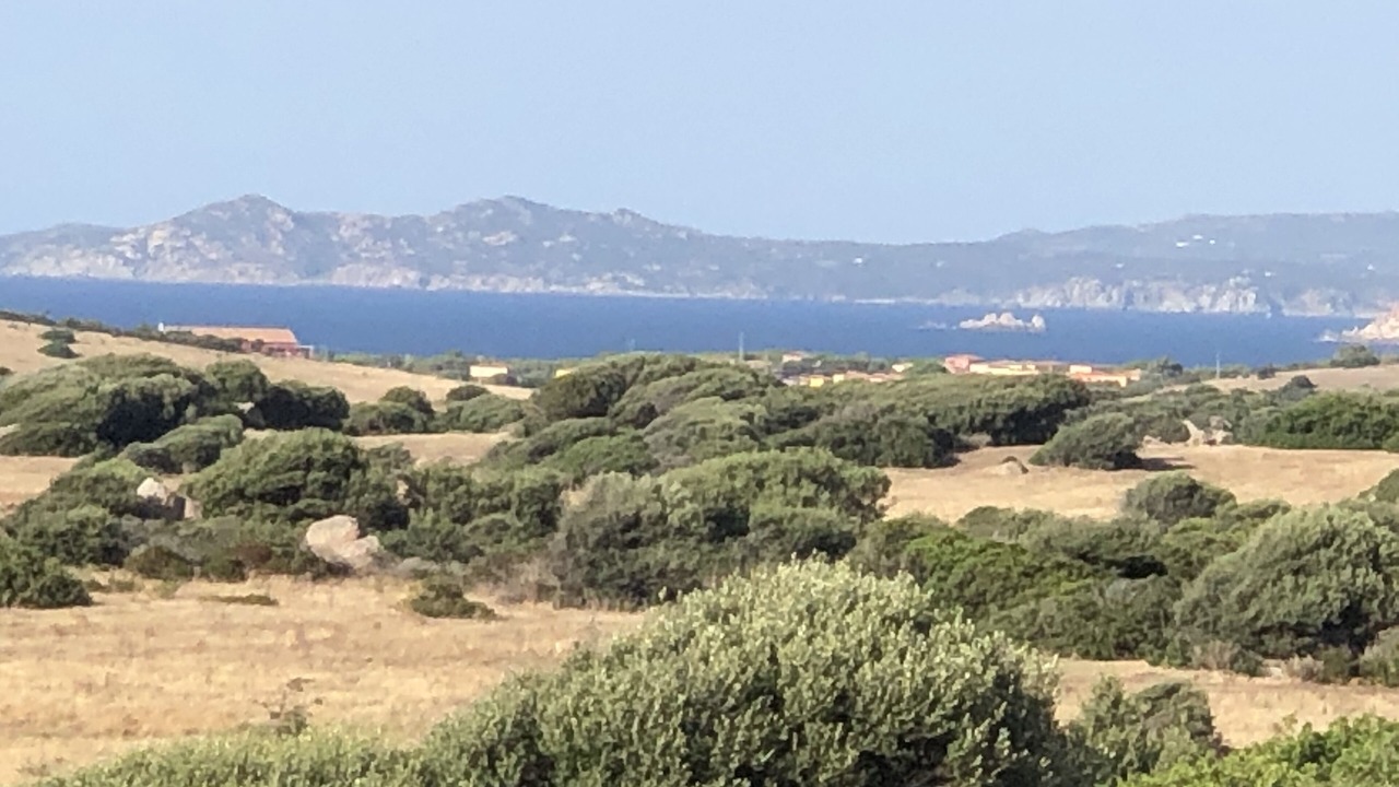 Photo of Outdoor in Aglientu