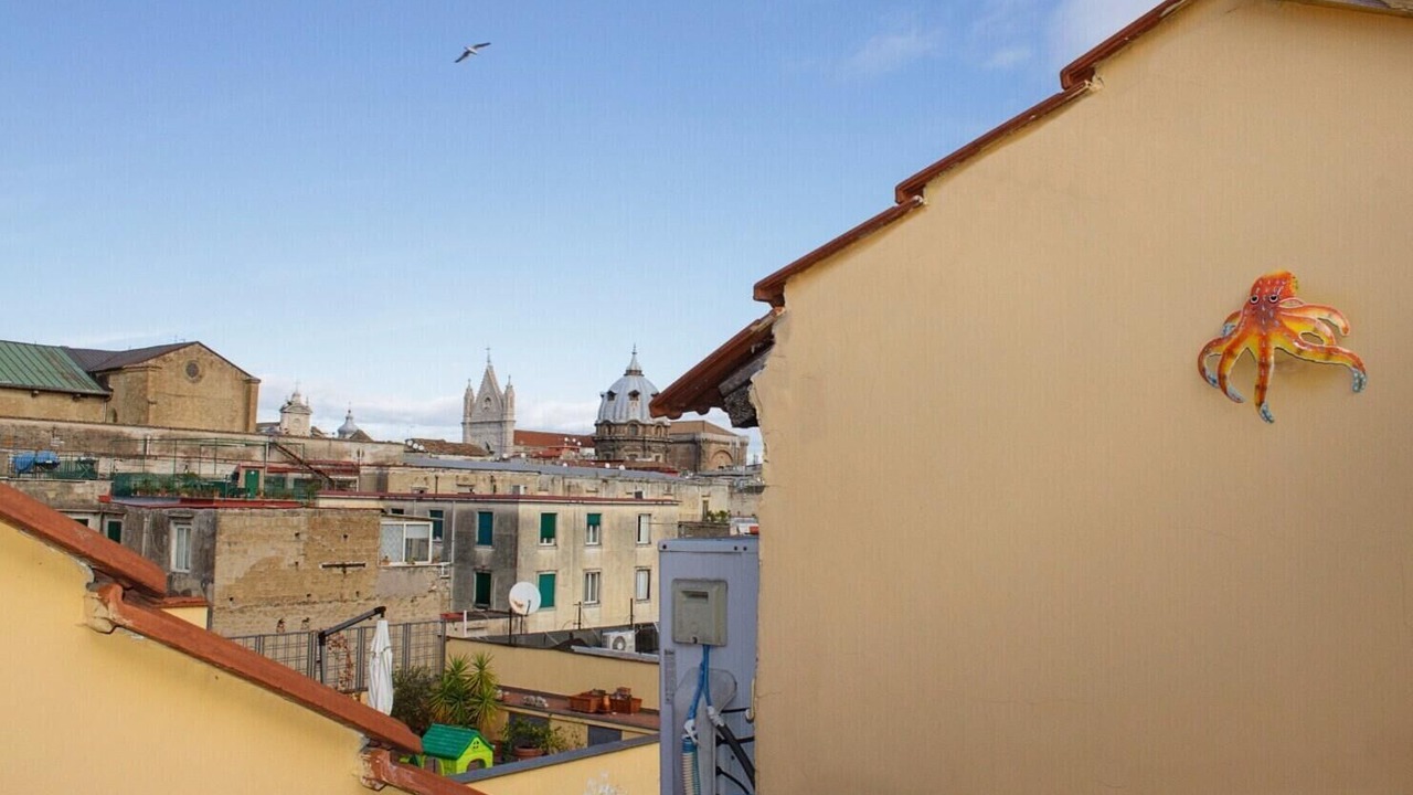 Photo of Others in Naples City Centre