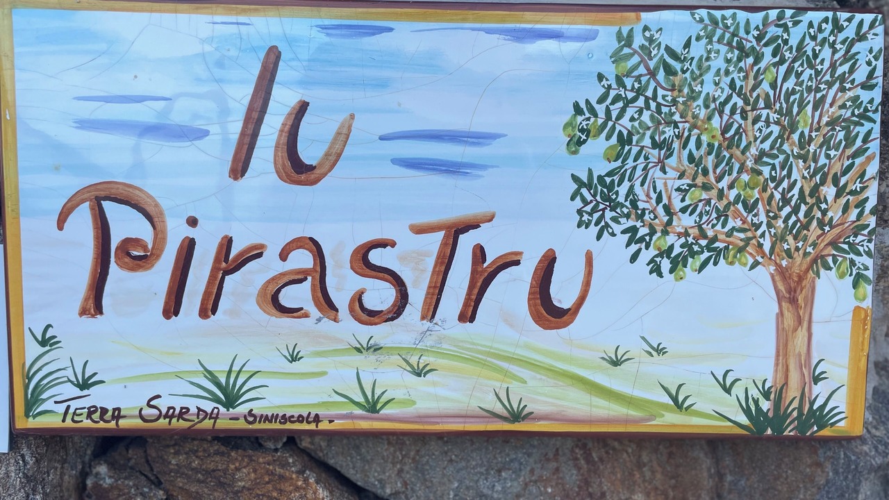 Photo of Others in Luddui
