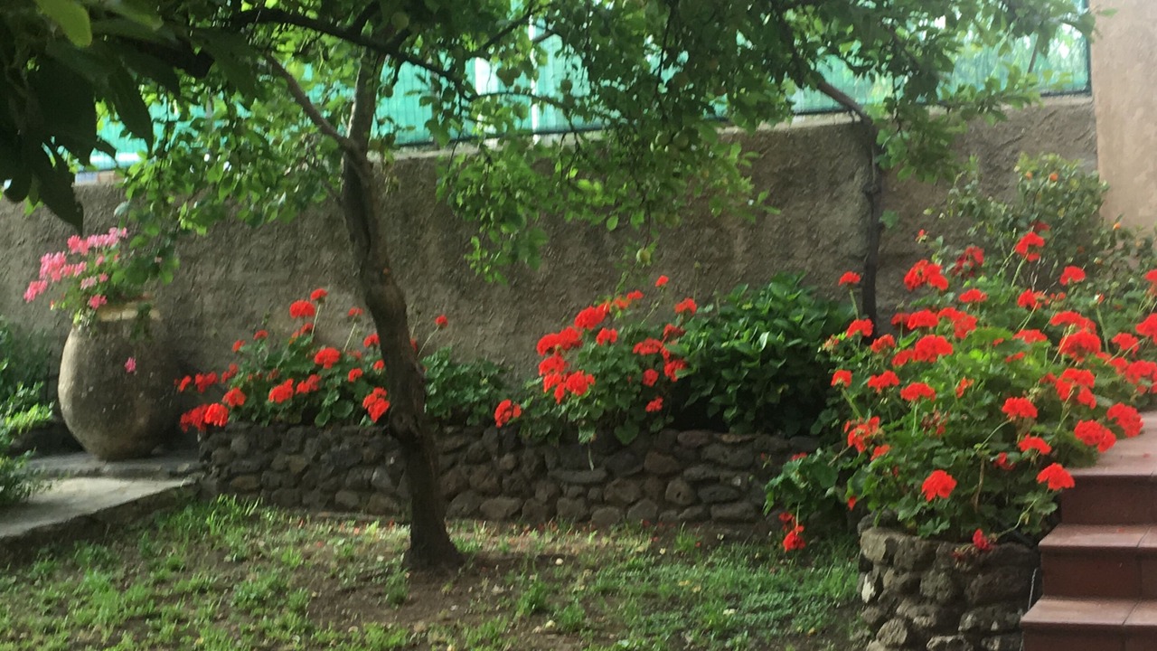 Photo of Outdoor in Sennariolo