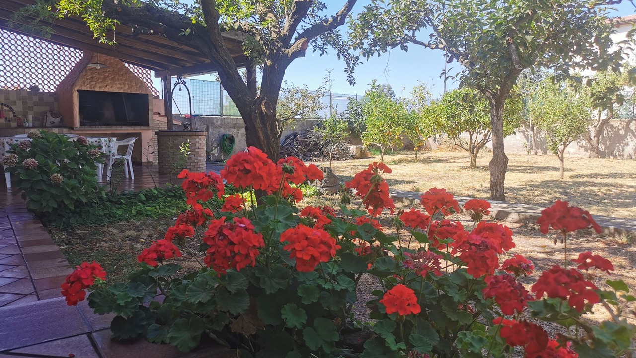 Photo of Outdoor in Sennariolo