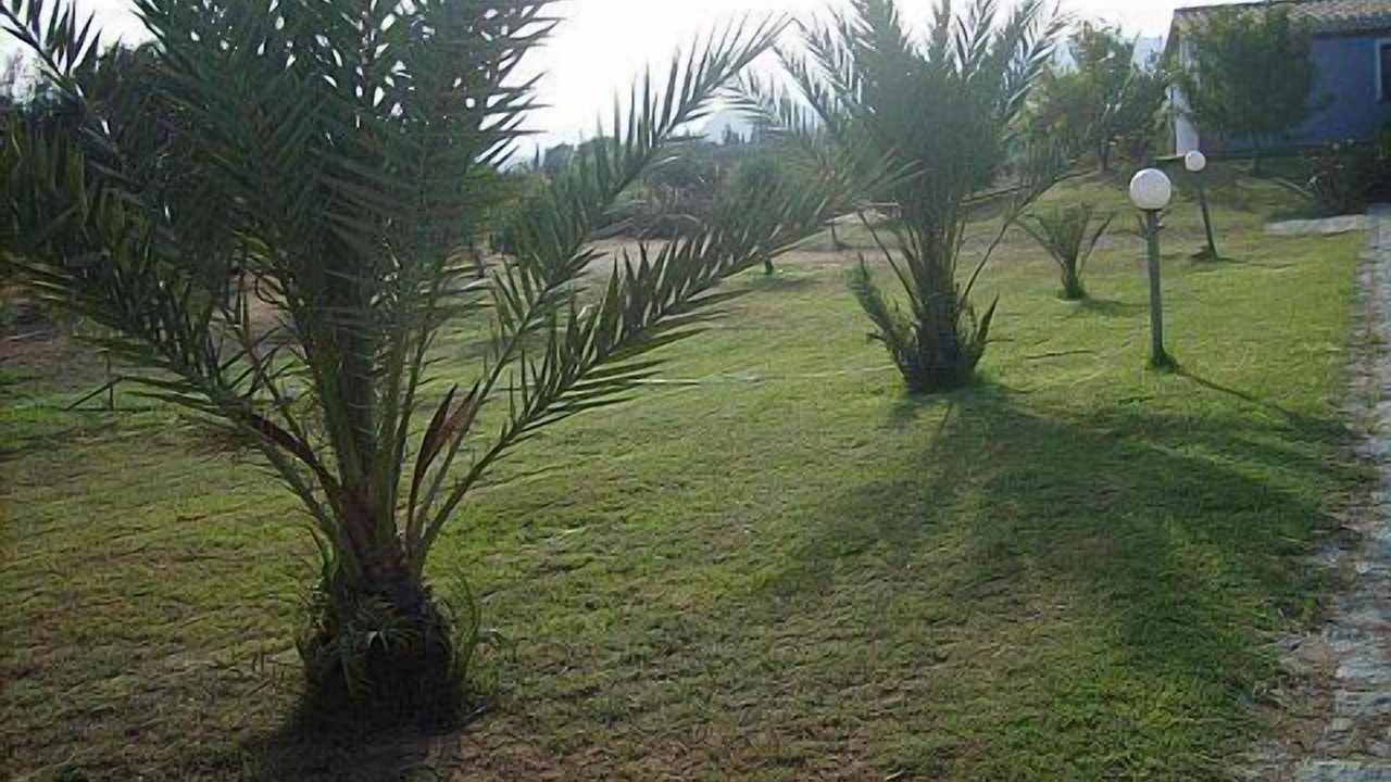 Photo of Outdoor in Girasole