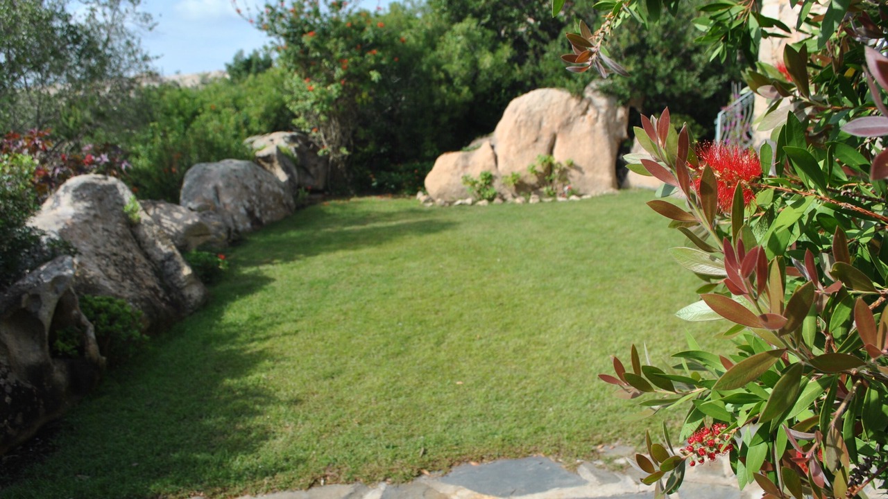 Photo of Outdoor in San Teodoro