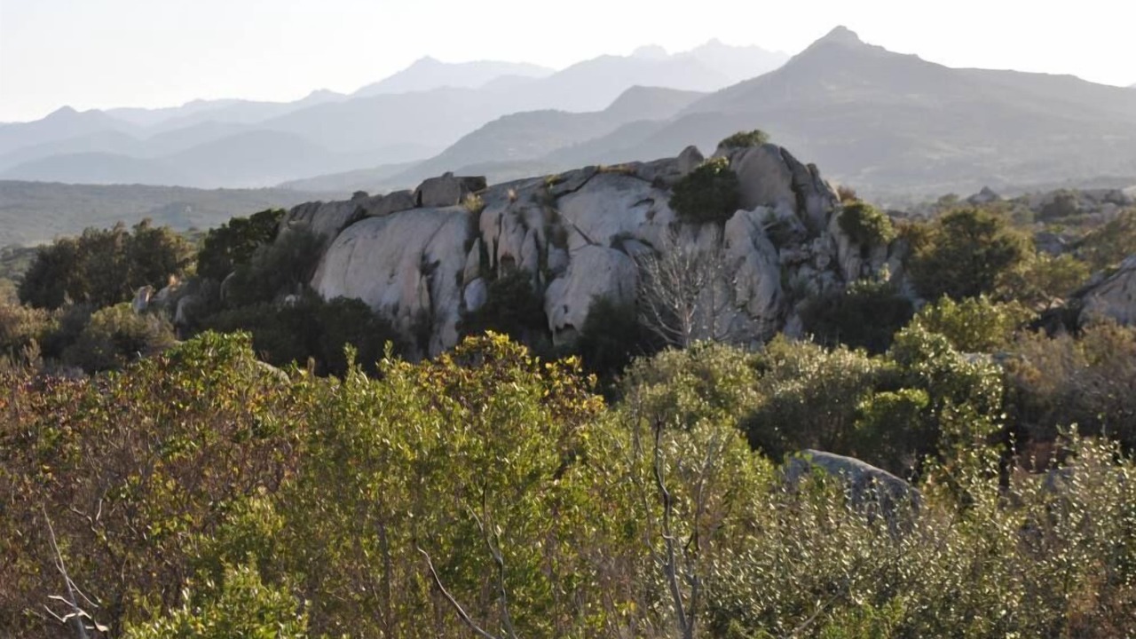 Photo of Others in San Teodoro