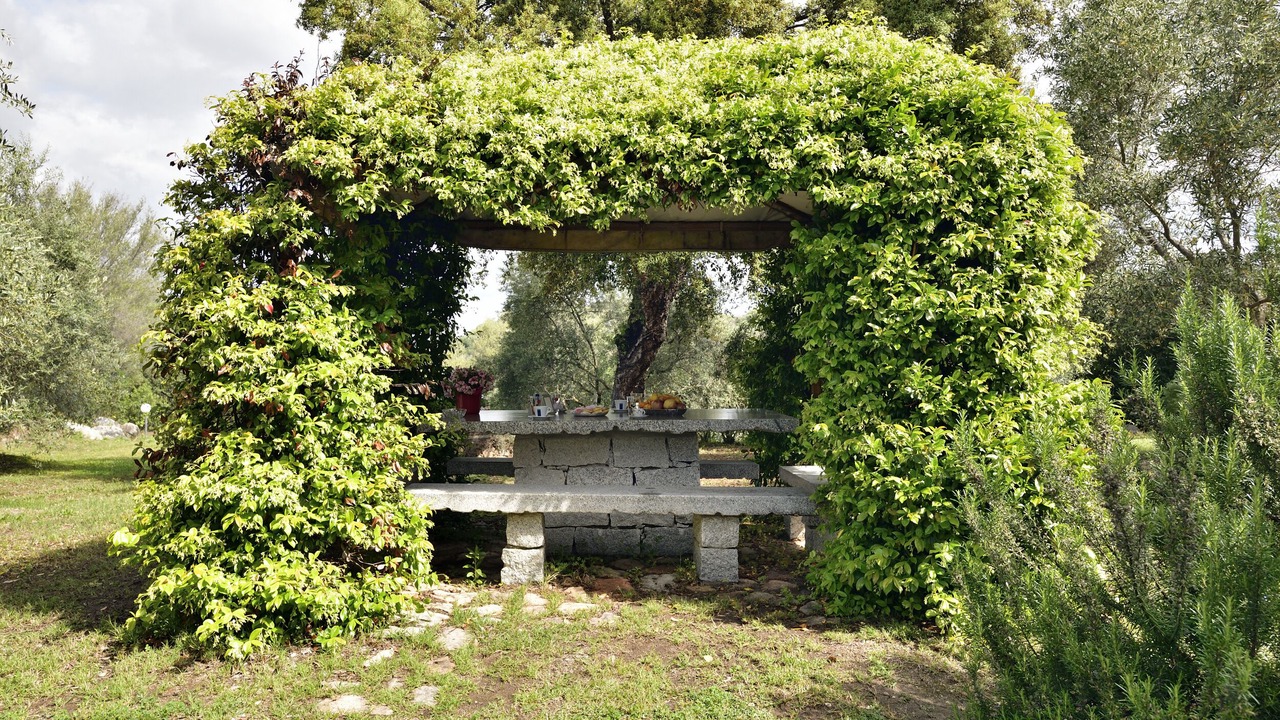 Photo of Outdoor in Arbatax
