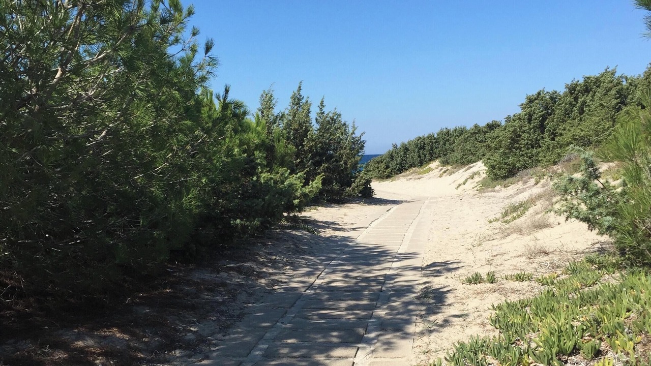 Photo of Others in Platamona