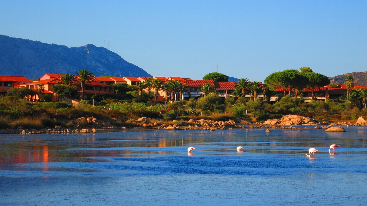 Photo of Outdoor in San Teodoro