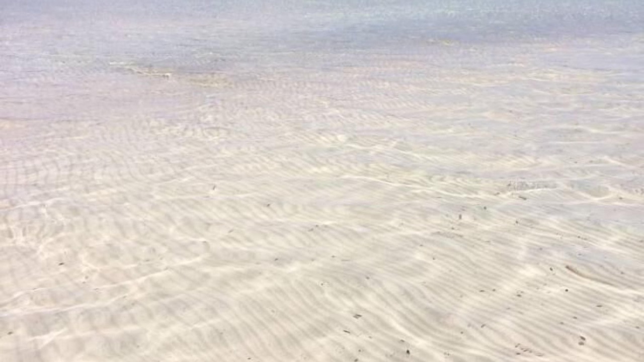 Photo of Others in Baia Sant'Anna
