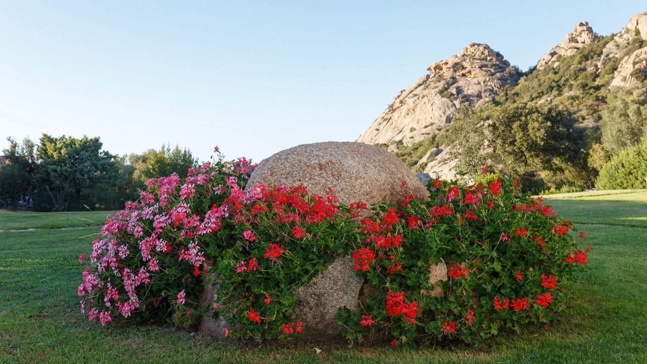 Photo of Outdoor in Arzachena