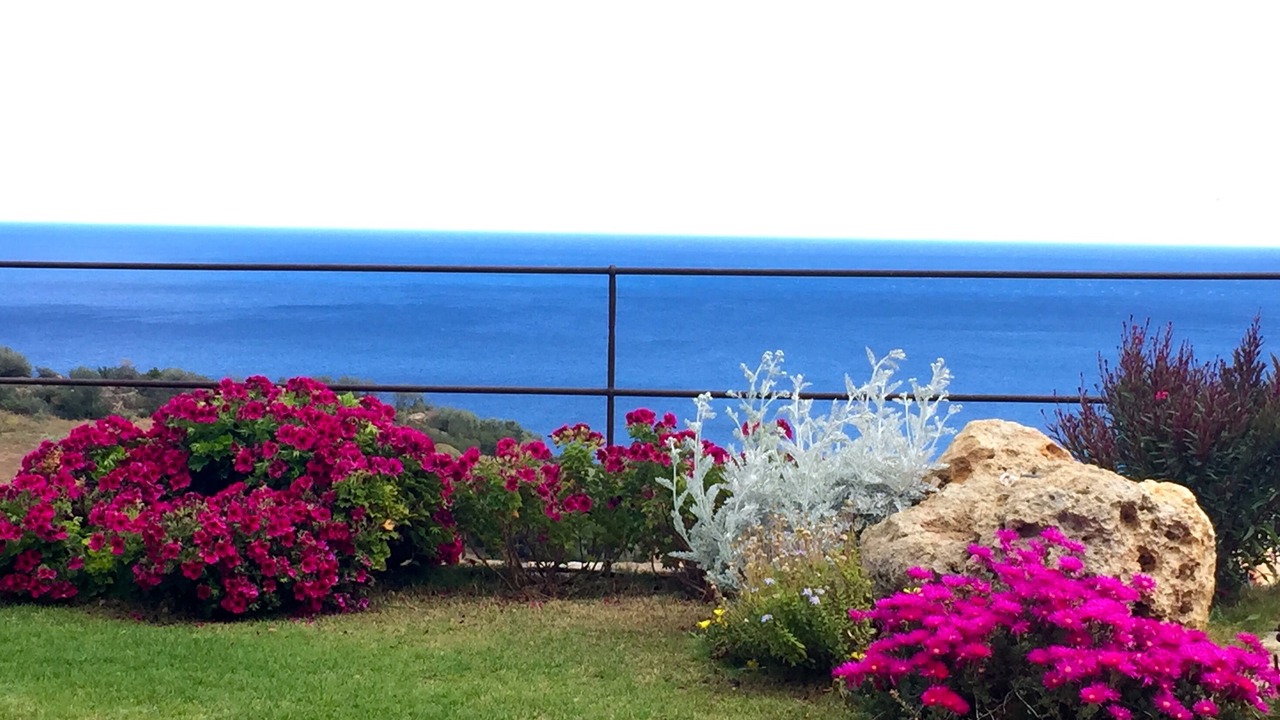 Photo of Outdoor in Tertenia