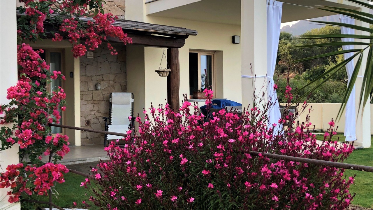 Photo of Outdoor in Tertenia