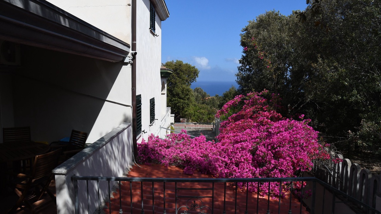 Photo of Outdoor in Cala Gonone