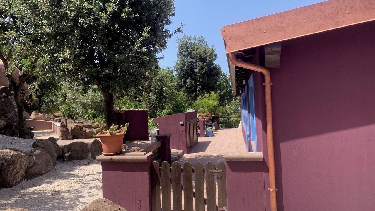 Photo of Outdoor in Sedini