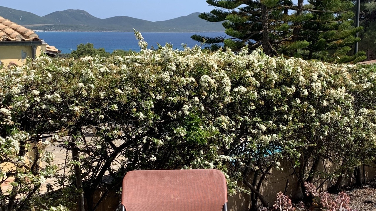 Photo of Outdoor in Porto Pino