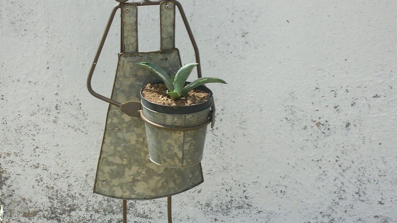 Photo of Others in Luogosanto