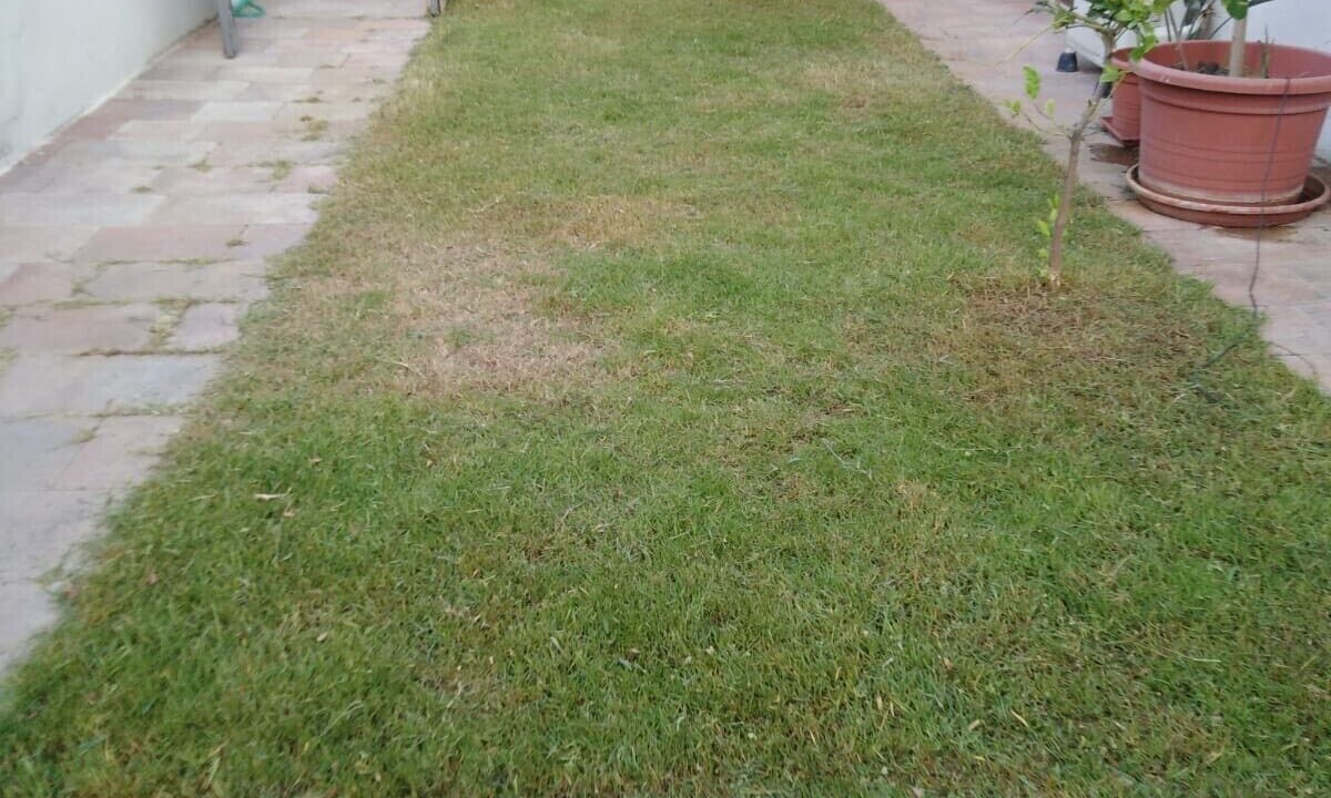 Photo of Outdoor in Solanas