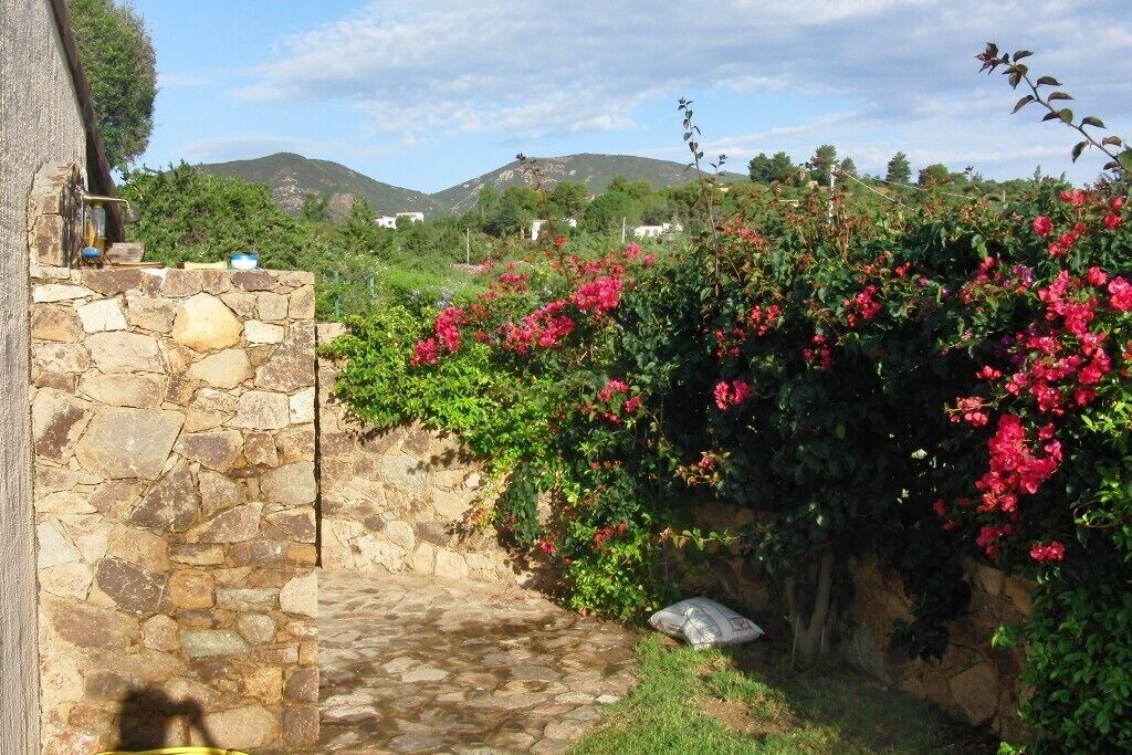 Photo of Outdoor in Tertenia