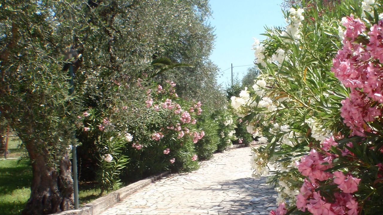 Photo of Outdoor in Chiesiola