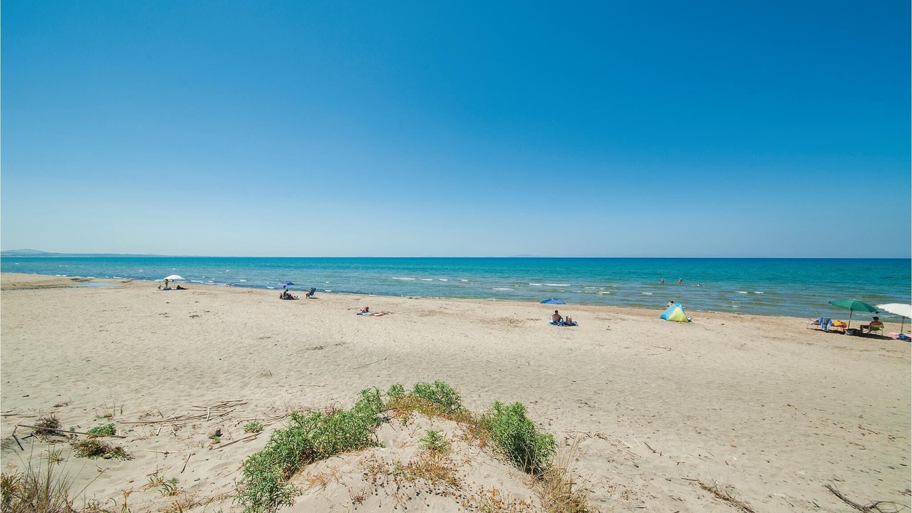 Photo of Others in Eden Beach