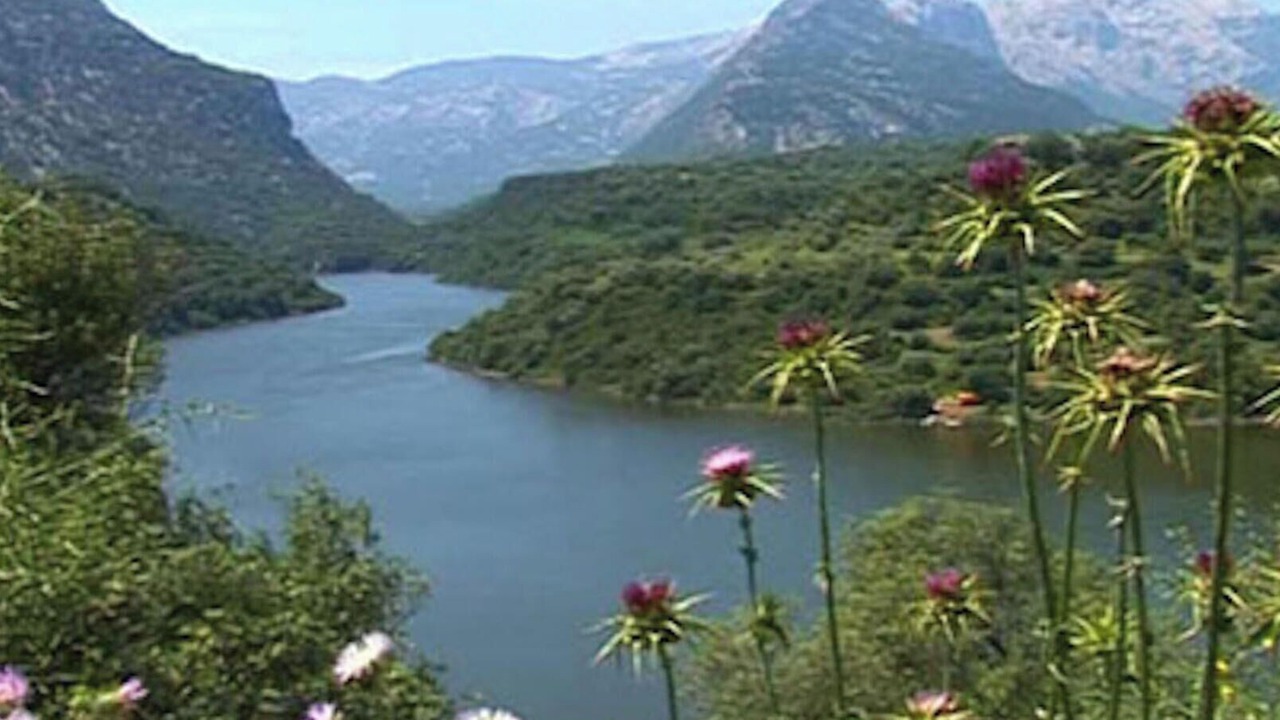 Photo of Outdoor in Cala Gonone