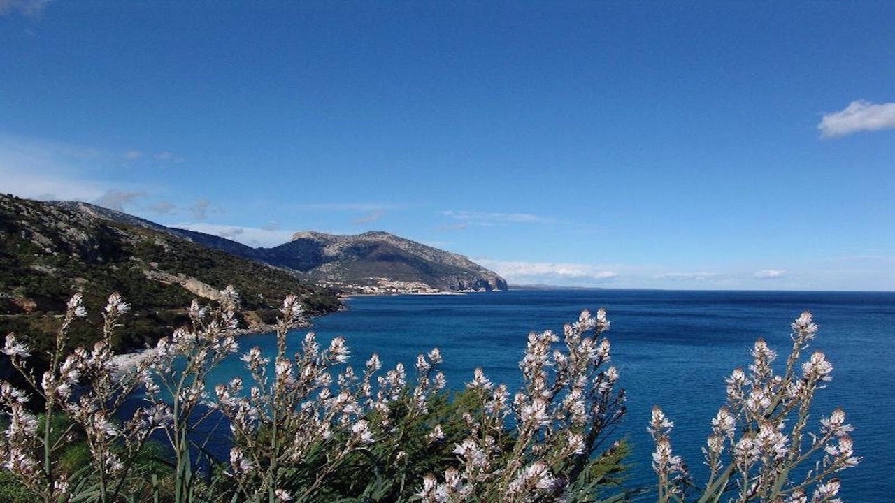 Photo of Others in Cala Gonone