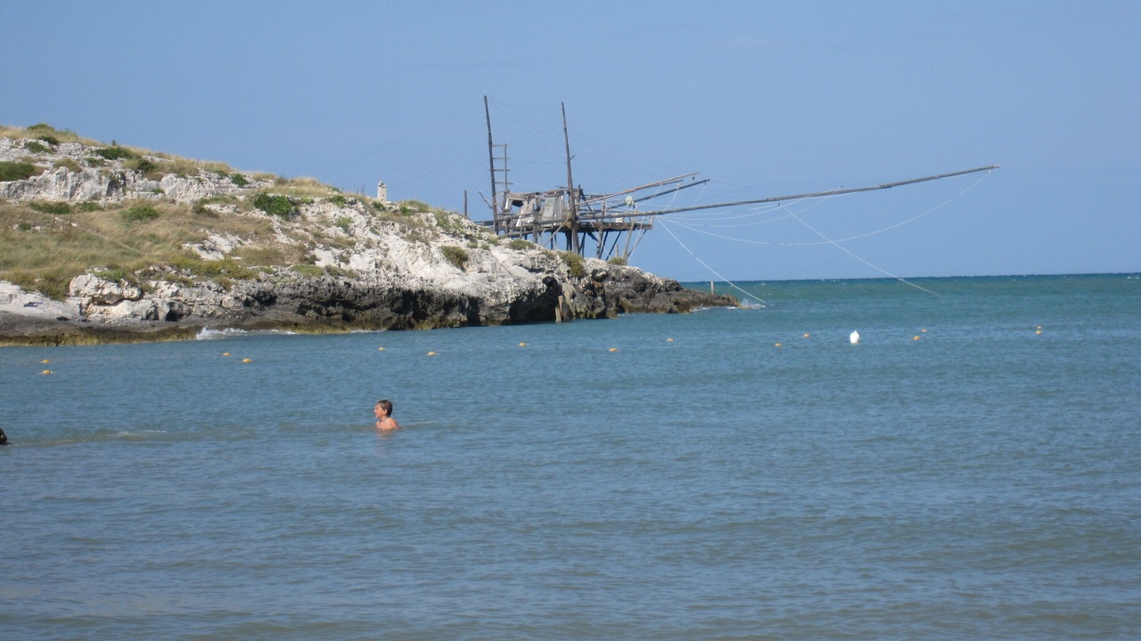Photo of Others in Defensola