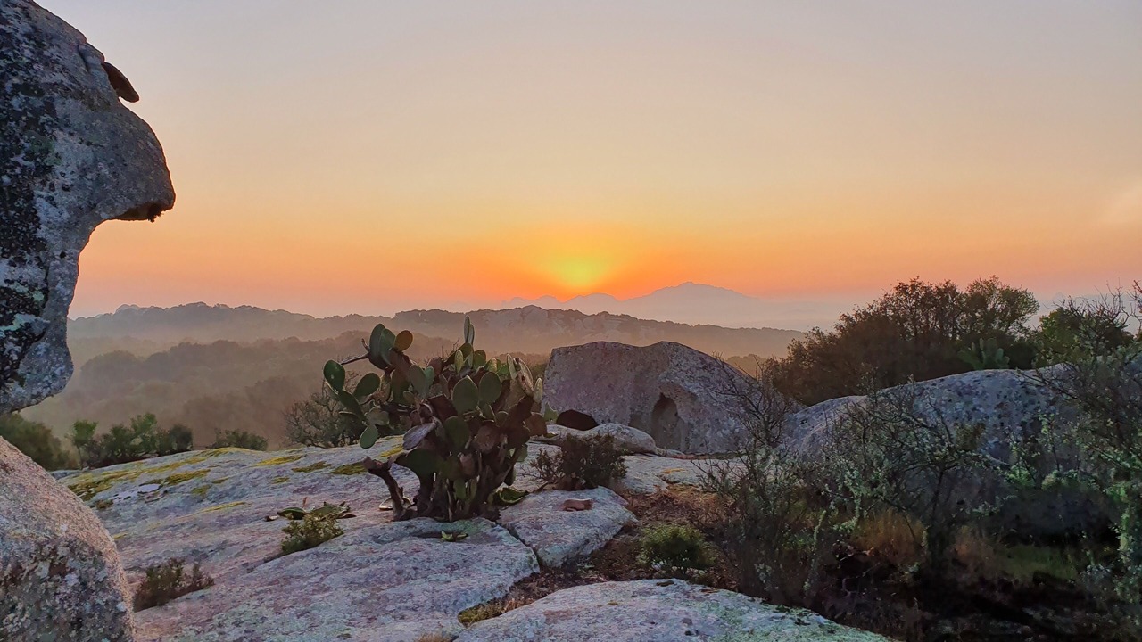 Photo of Outdoor in Sa Castangia