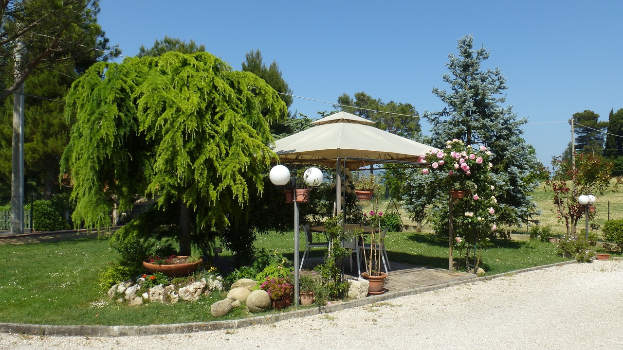 Photo of Outdoor in Osimo
