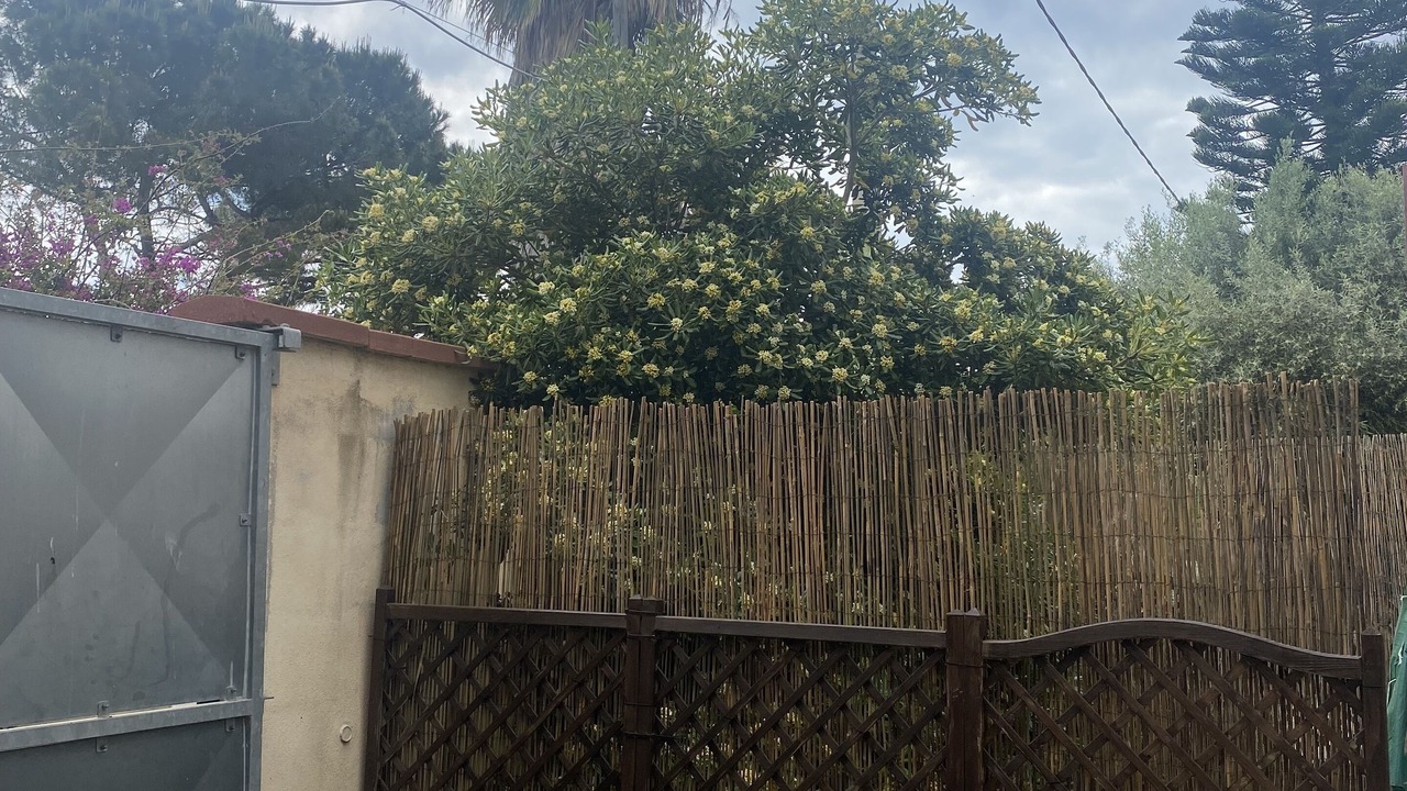 Photo of Outdoor in S'oru e Mari