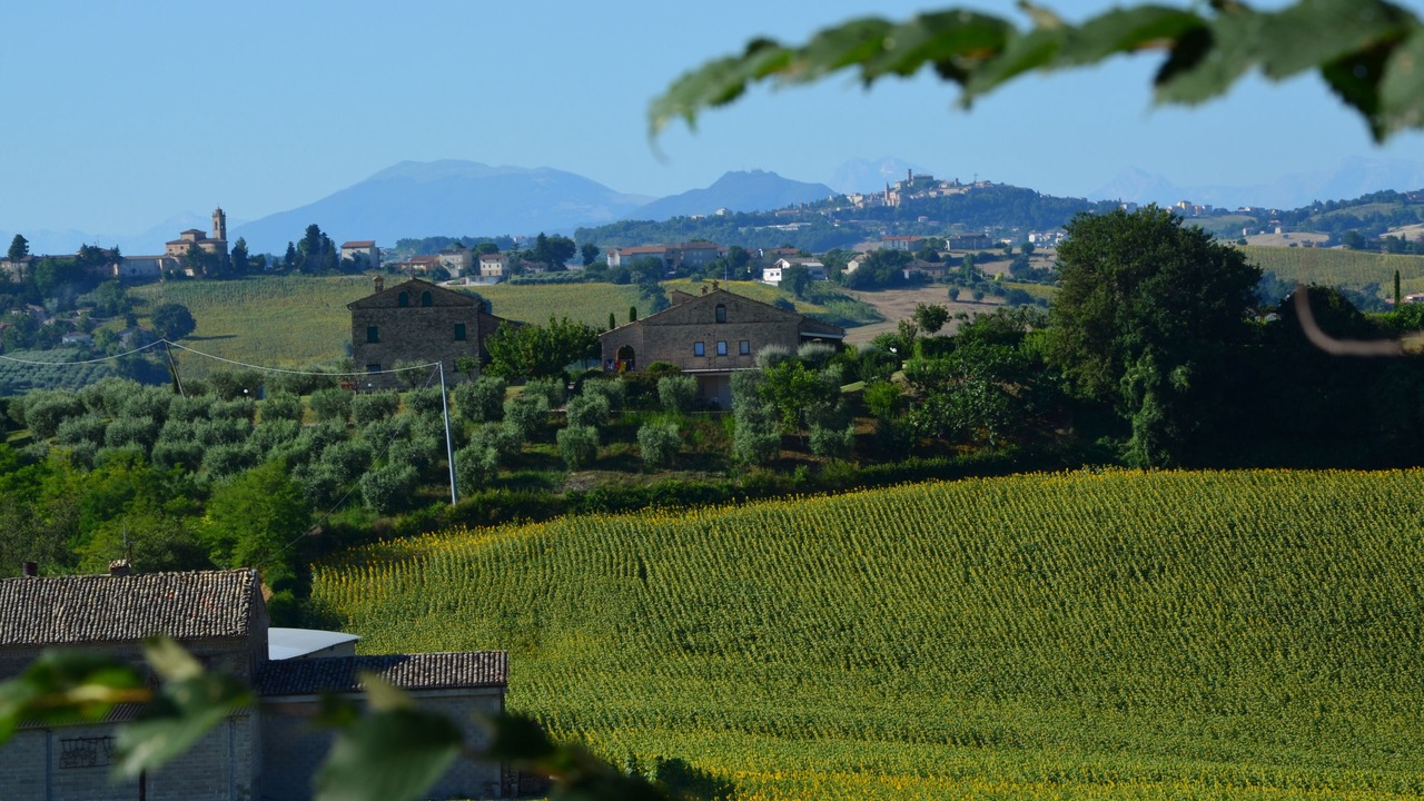 Photo of Outdoor in Francavilla d'Ete