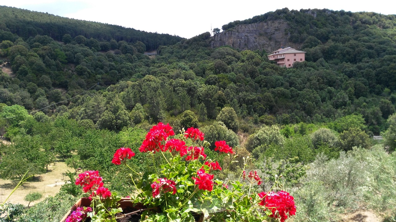 Photo of Outdoor in Seulo