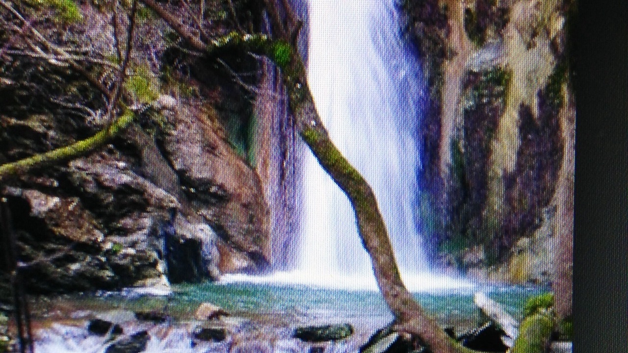 Photo of Others in Seulo