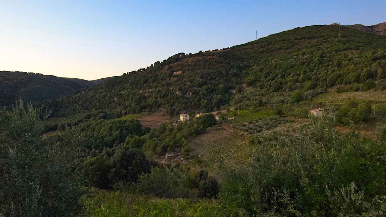 Photo of Outdoor in Seulo