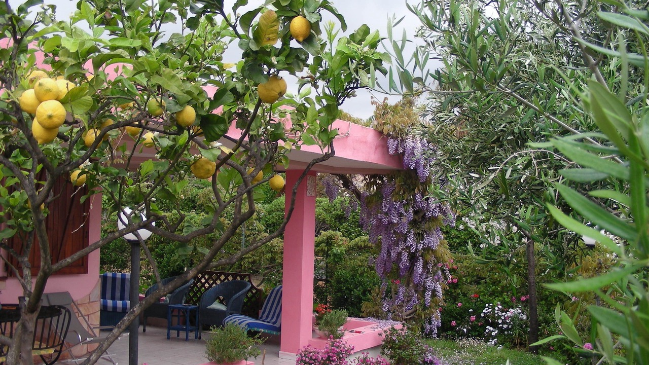 Photo of Outdoor in Costa Rei